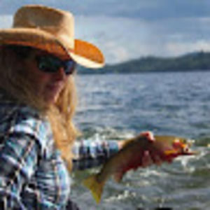 Meet your Posher, Green